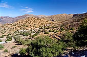 Marocco meridionale - Lungo la strada da Tiznit a Tafraoute.